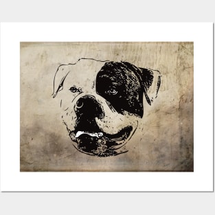 American Bulldog Posters and Art